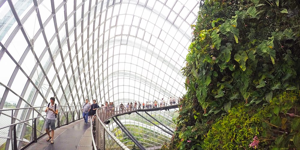 Visiting Gardens by the Bay in Singapore