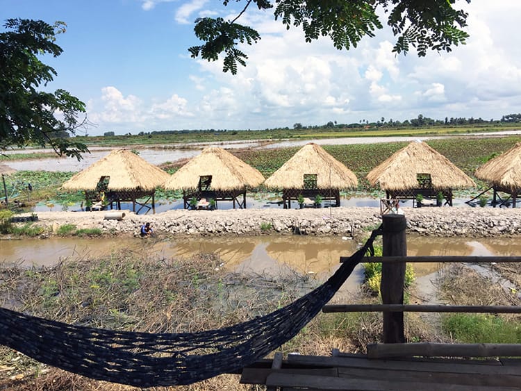 Small huts line up along the farms on the way to Tonle Sap Lake in Siem Reap, Cambodia