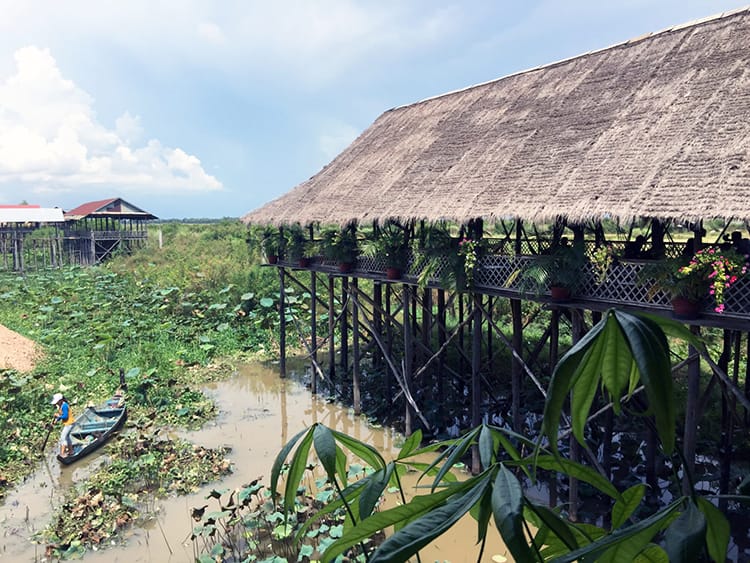 A restaurant on stilts over the wetlands where lotus grow