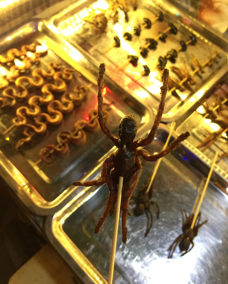 A tarantula spider on a stick after being fried in oil