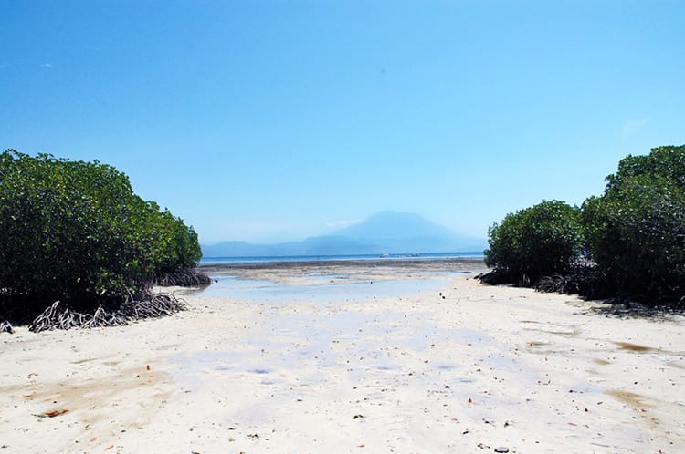 Looking out at a volcano on Bali's mainland from Mangrove Beach