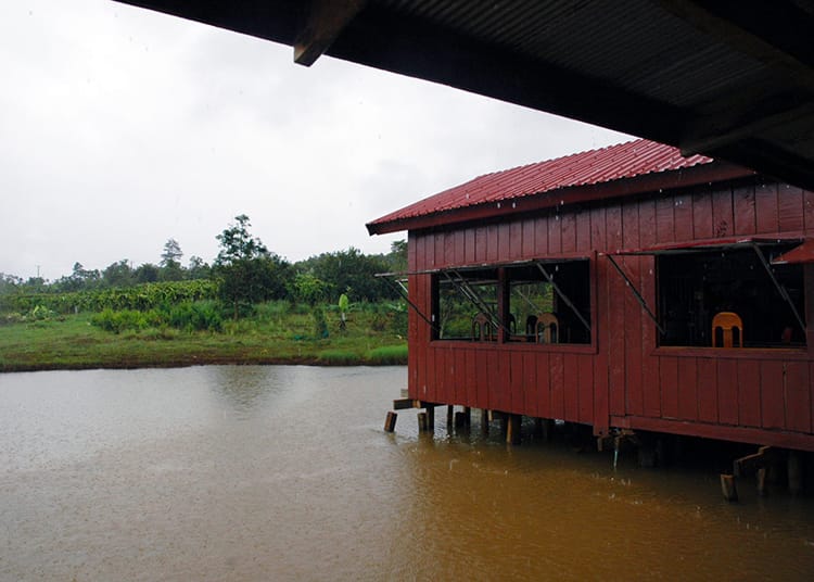 A view from the window of the Coffee Plantation in Mondulkiri, Cambodia on a rainy day
