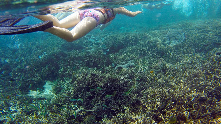 A girl swims just above the coral in Nusa Lembongan