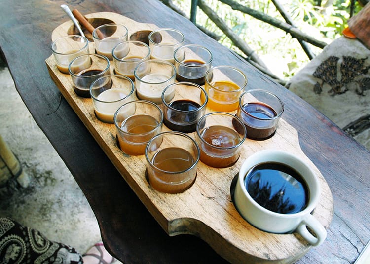 A large wood tray holding 16 cups with different coffees and teas to sample