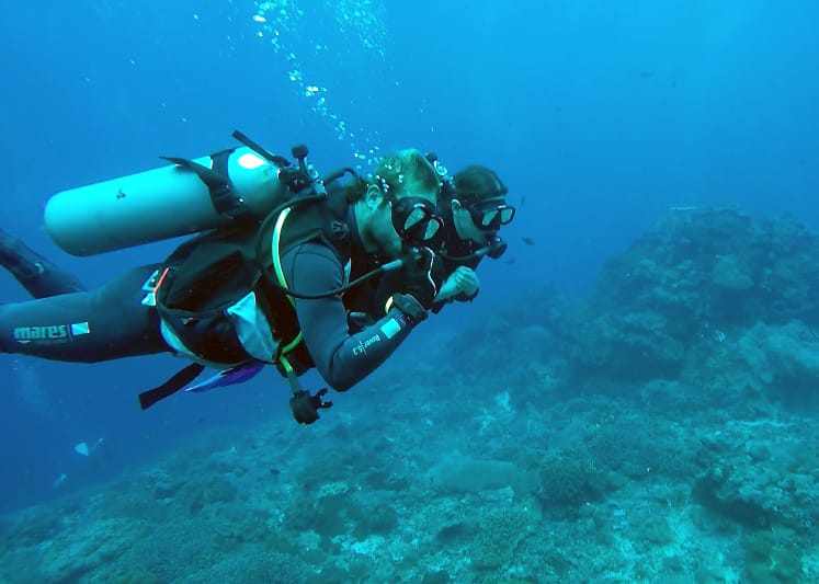 An expert diver helps a new diver glide beneath the water