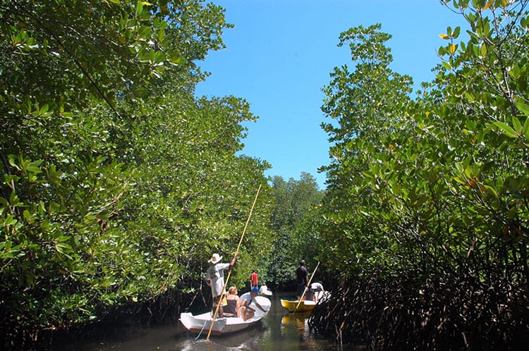 A boat floats through the Mangroves in Nusa Lembongan, Bali