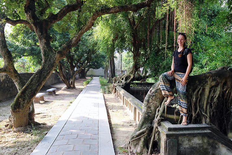 Woman sitting on a banyan tree in the Hoa Lu Ancient Capital
