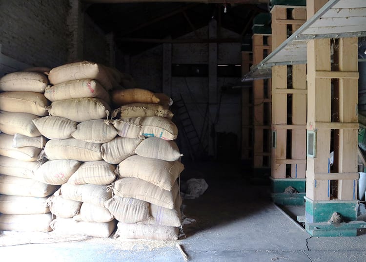 Bags line up carrying rice paddy inside a rice mill in Nepal