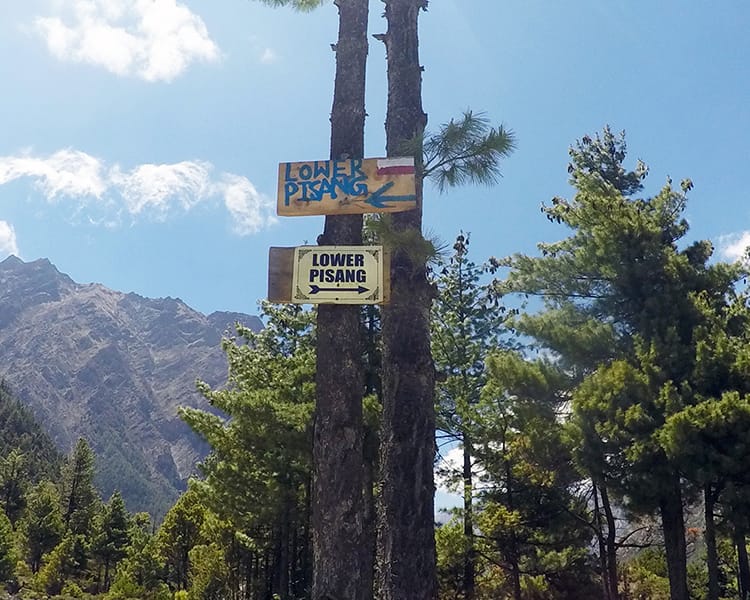 Two signs at a fork on the Annapurna Circuit that says "Lower Pisang" pointing in both directions
