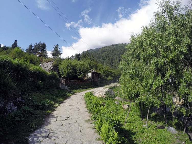 A stone pathway and lush green trees line the path towards Ghorepani