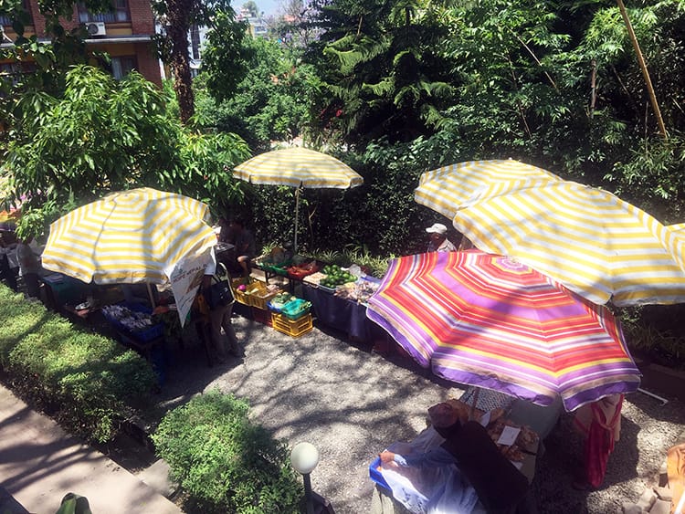 Small stands under brightly colored umbrellas fill the courtyard at Yellow House forming a farmer's market