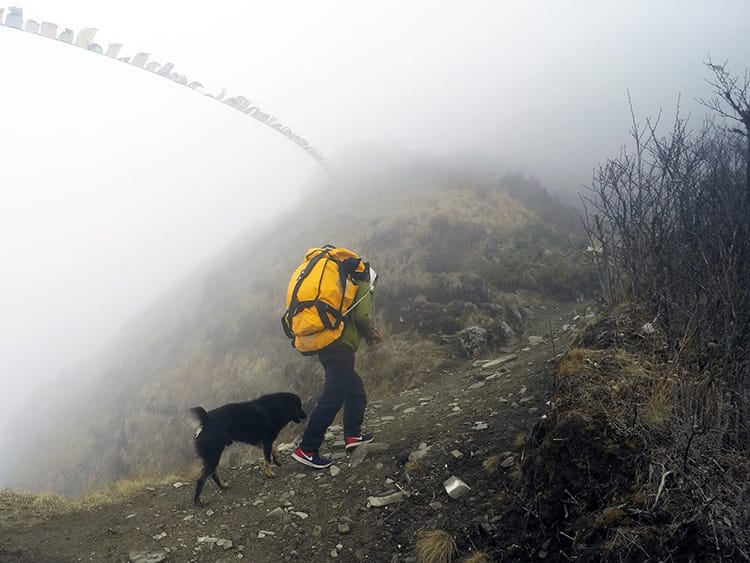 A trekking porter carries a large yellow bag up a hill in the snow with a dog walking beside him