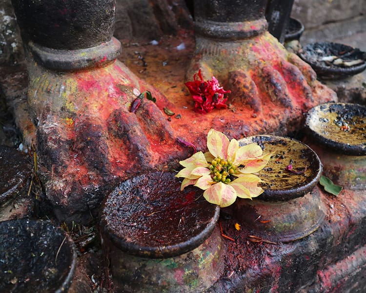 A white poinsettia flower sits at the feet of one of the stone statues in Changu Narayan Temple