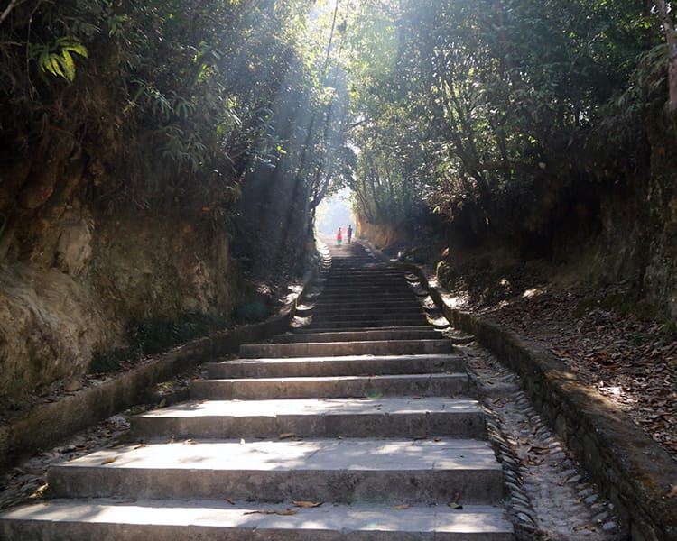 Sun breaks through the trees and hits the stairs of the 1000 steps up to Kali Temple