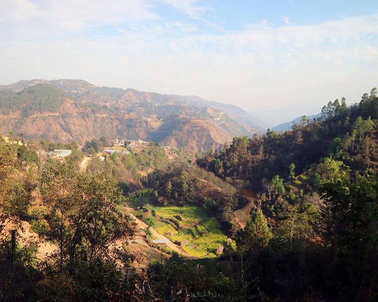 A view of the rolling hills surrounding Balthali which grow oranges in the winter