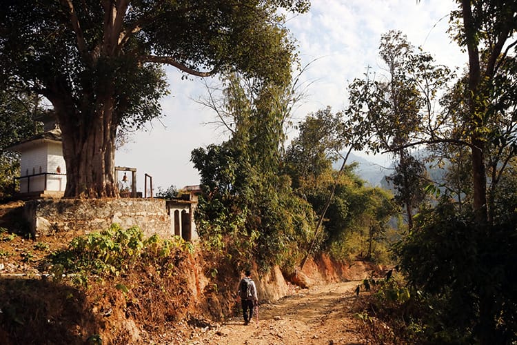 A hiker walks down a dirt path towards the forest while hiking to Balthali