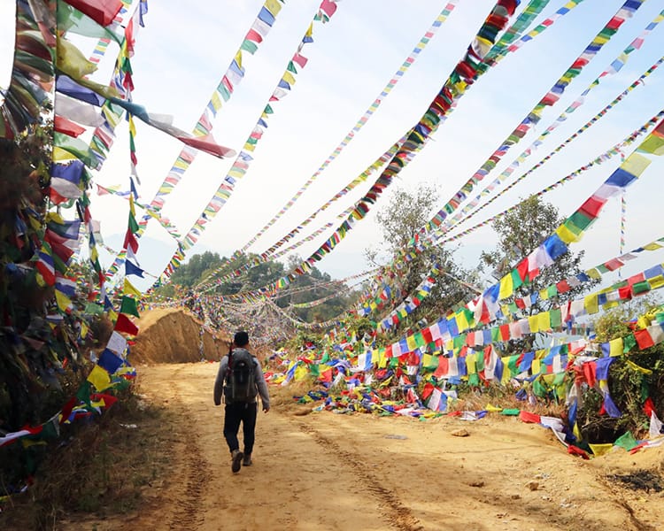 Thousands of prayer flags line the road going up to Namo Buddha Monastery while a trekker walks beneath them