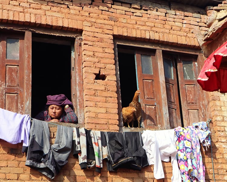 A woman watches people on the street from her window while two chickens look out the next window over