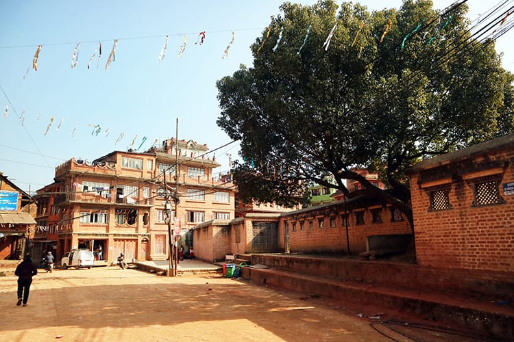A large tree sits outside a temple in Panauti, Nepal