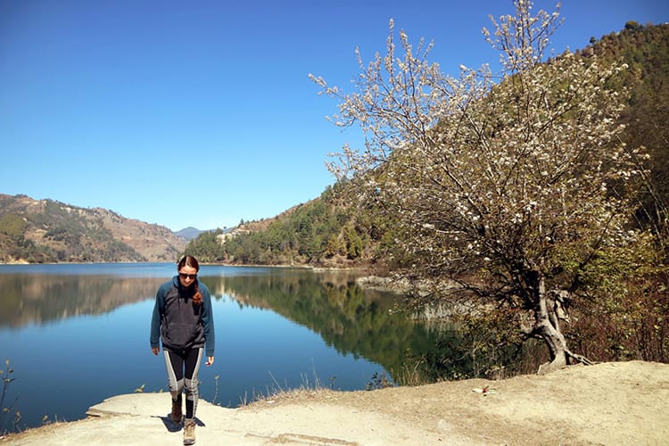 A girl walks near the Kulekhani Reservoir with a white tree blossoming nearby