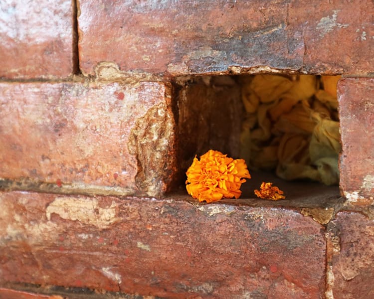 A marigold sits where there's a missing brick in the Amar Narayan Temple