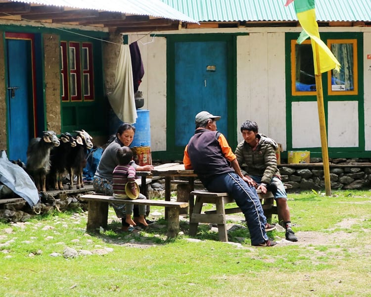 Locals chat while three goats listen in in Dongang Nepal