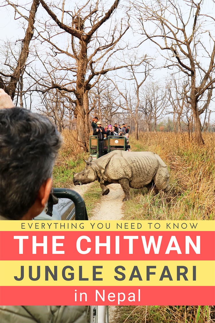 Chitwan Jungle Safari: Everything you need to know | Full Time Explorer | Travel in Nepal | National Parks | When to go to Chitwan | Where to stay in Chitwan National Park | Permit Fees | Tour Costs | Tour Operators | Wildlife | Endangered Animals | Breeding centers | Activities inside Chitwan | Jeep Safari | Walking Safari | Elephant Safari #nepal #travel #chitwan #nationalpark #wildlife