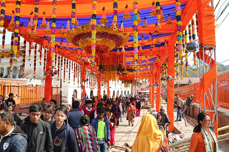 Millions of flowers form a canopy at the entrance of Pashupatinath Temple in Kathmandu during Shivaratri