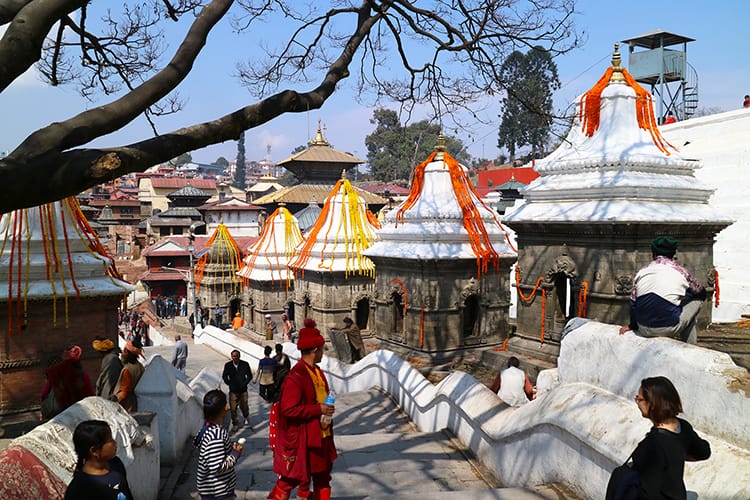 The temples at Pashupatinath Temple in Nepal are draped in garlands made out of marigolds for Maha Shivaratri