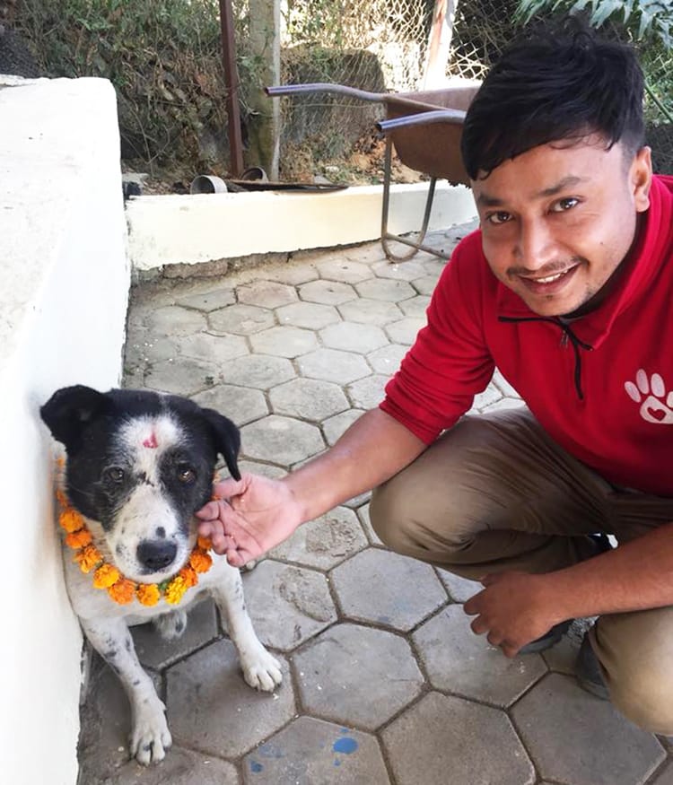 A member of Animal Nepal dog rescue puts a flower garland around a dogs neck