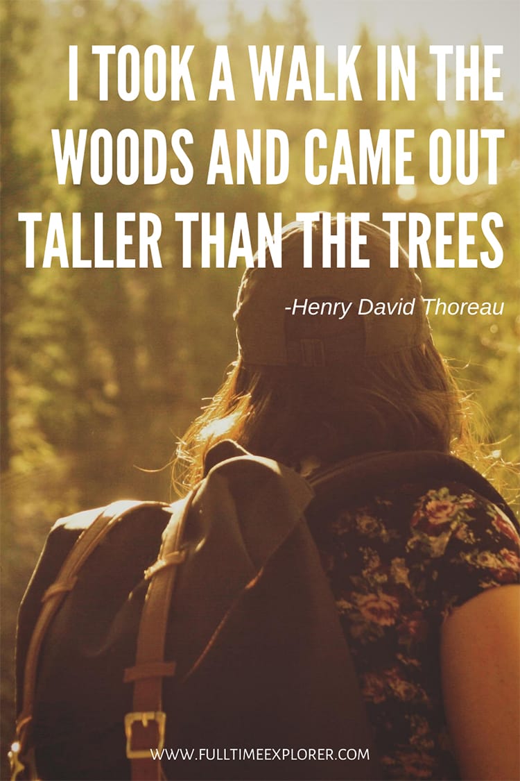 "I took a walk in the woods and came out taller than the trees." - Henry David Thoreau
