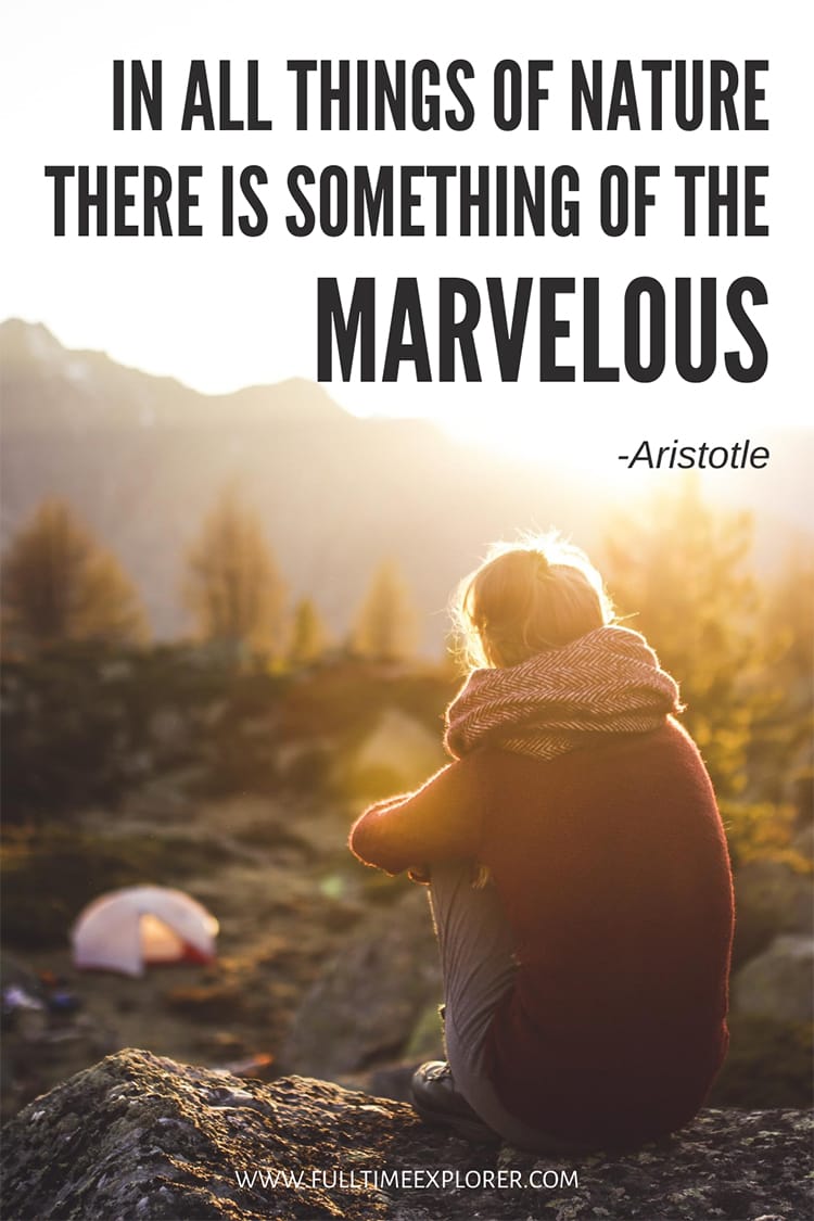 "In all things of nature there is something of the marvelous." - Aristotle
