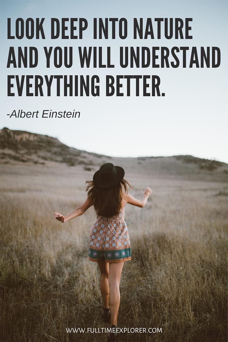 "Look deep into nature and you will understand everything better." - Albert Einstein
