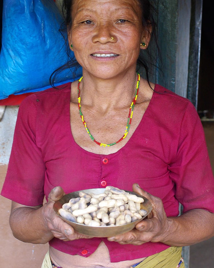 A local women holds freshly picked peanuts from their farm