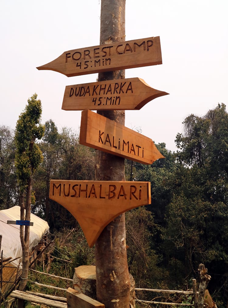 A wooden sign points to Forest Camp on the Mardi Himal trail