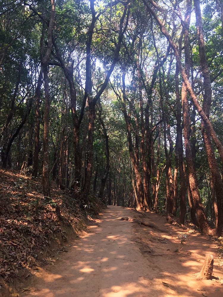 The path evens out for a bit in Nagarjun National Park