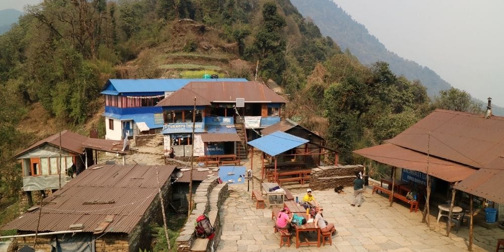 Pittam Deurali Mardi Himal Trekking Guide Nepal