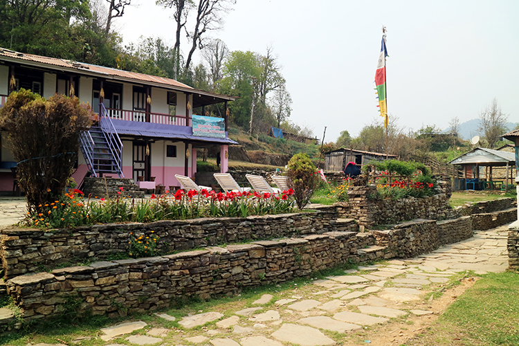 A pink and purple teahouse located in Pothana, Nepal