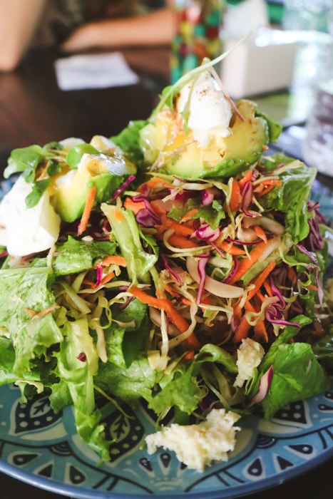 Best Restaurants in Pokhara Vegan Way Avocado Salad