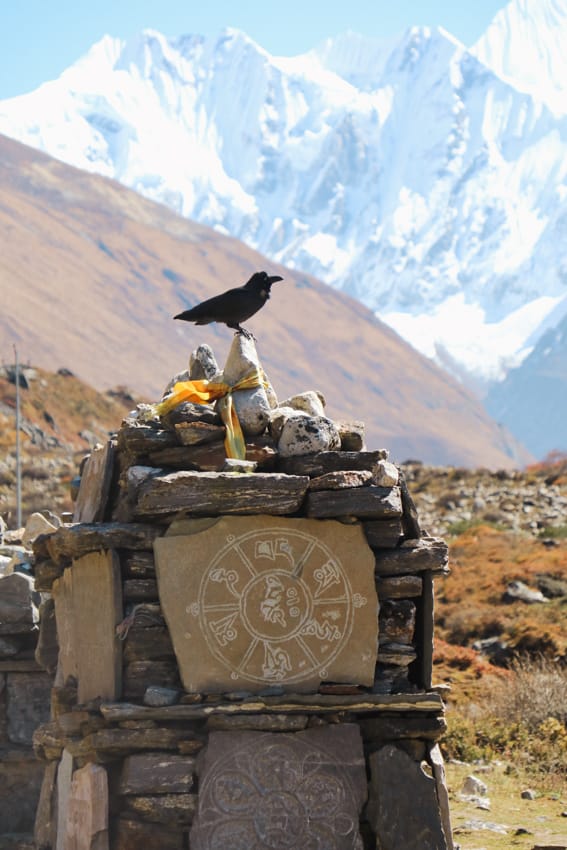 A crow sits on top of a chortan with the mountains behind