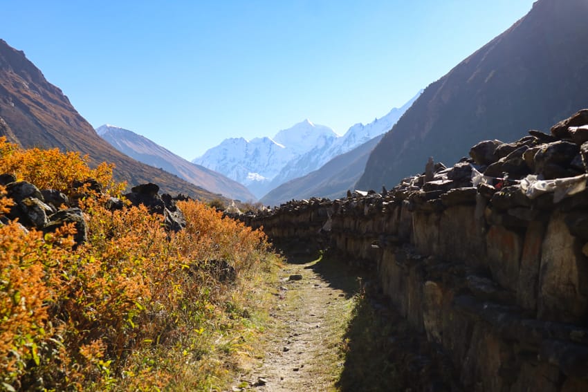 Stone chortens line the pathway out of Langtang village