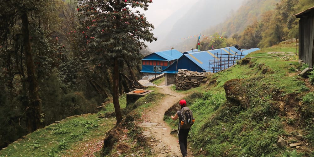Dobhan Dovan Nepal ABC Trek Annapurna Base Camp Trekking Route Village