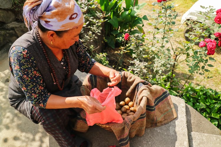 A woman sells kiwis