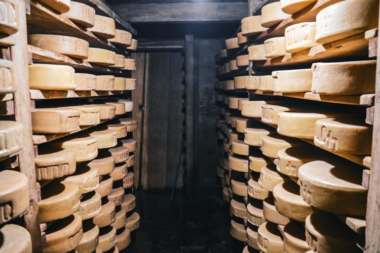 Yak Cheese lines the walls of a cheese factory as it dries