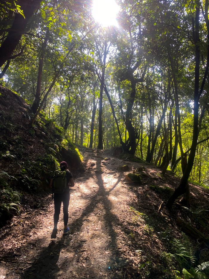 A hiker climbs a dirt pathway in Shivapuri National Park