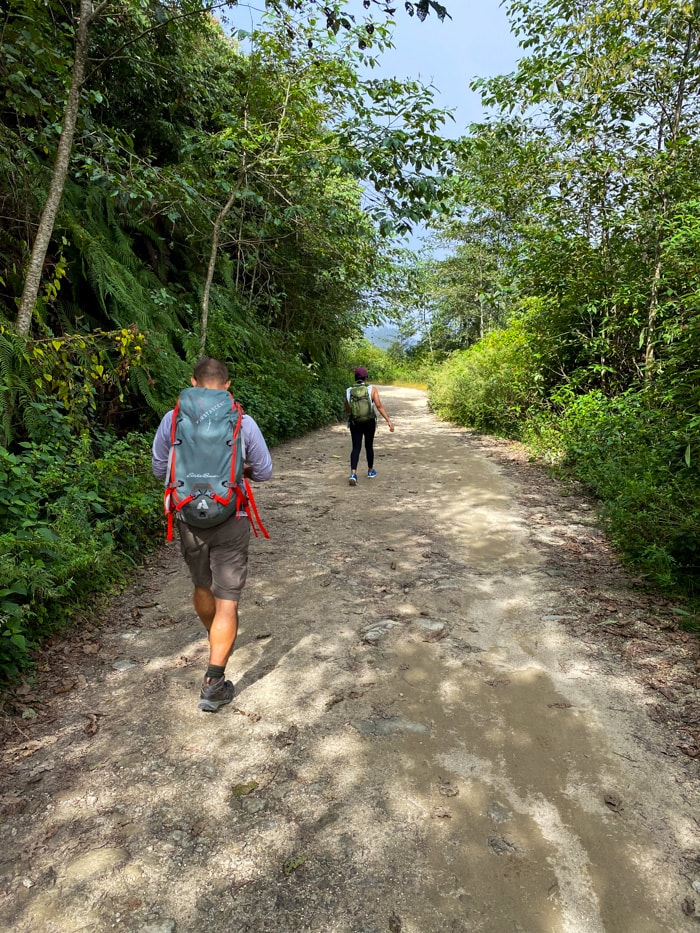 Two hikers walk up a dirt road