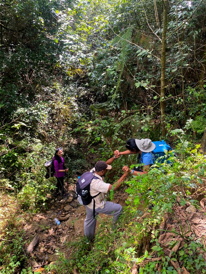 An adventurous route going down hill and across a stream