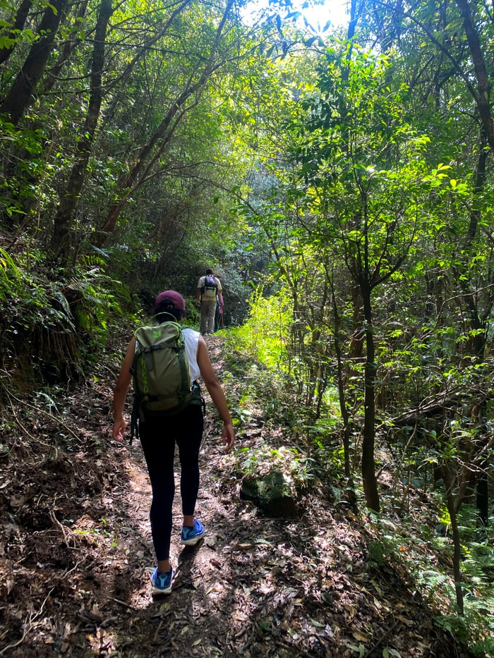 Hikers on the hiking route back to Kathmandu