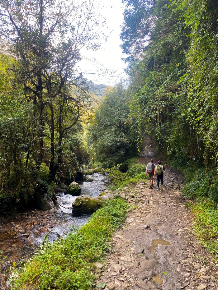 Two hikers walking on the dirt road next to a beautiful small river.