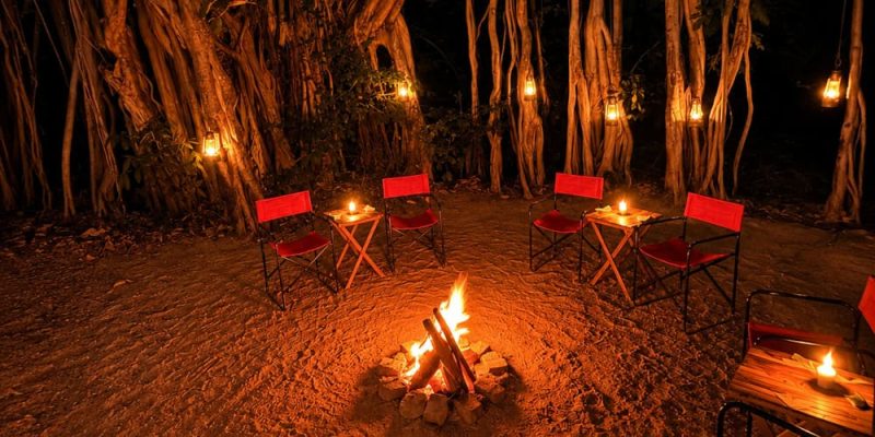Pench National Park